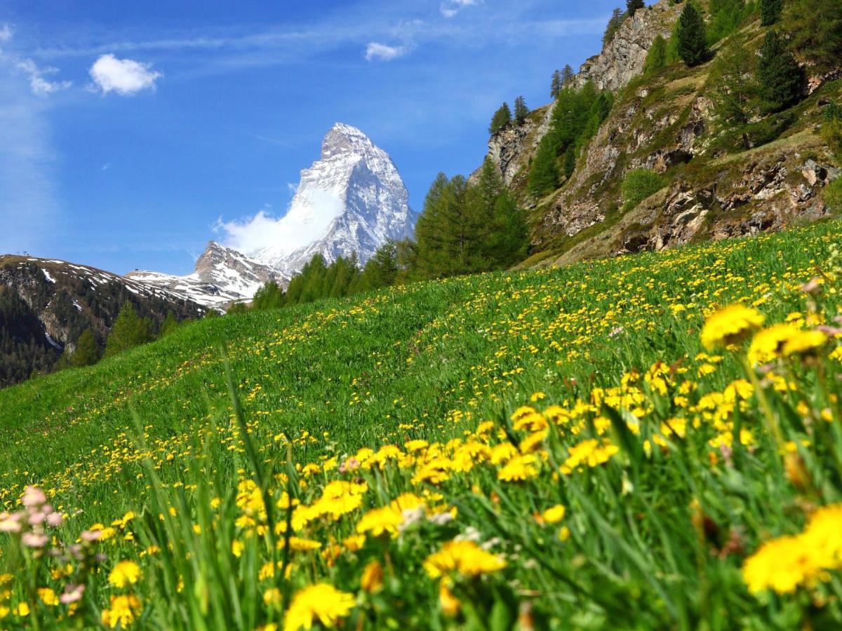 Apartment Silence-1 By Interhome Zermatt Eksteriør billede